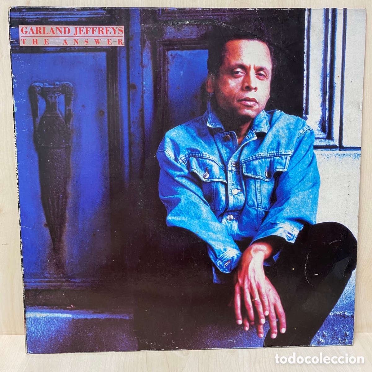 Discos de vinilo: Garland Jeffreys - The Answer (12&rdquo;, Maxi) - Foto 1