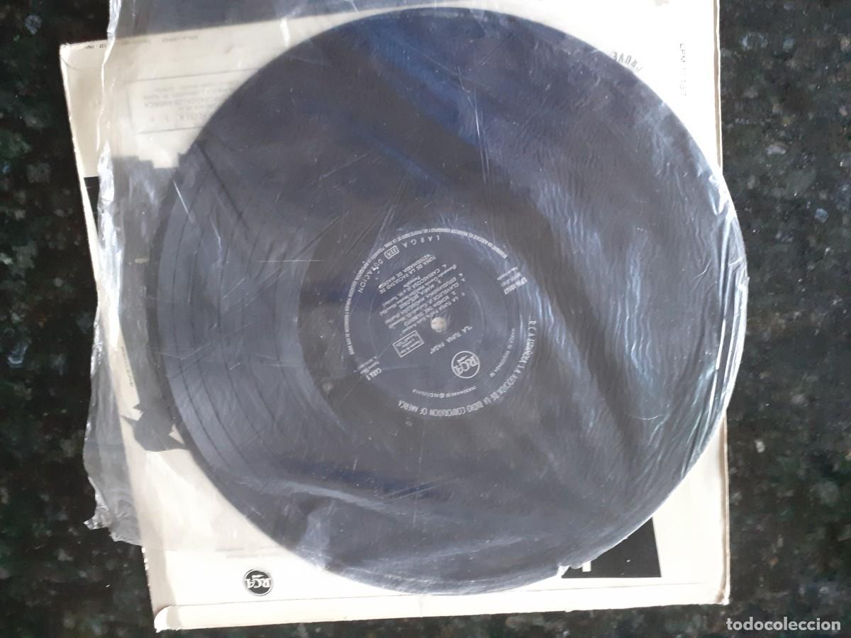 Discos de vinilo: Veterinaria Madrid - Foto 3