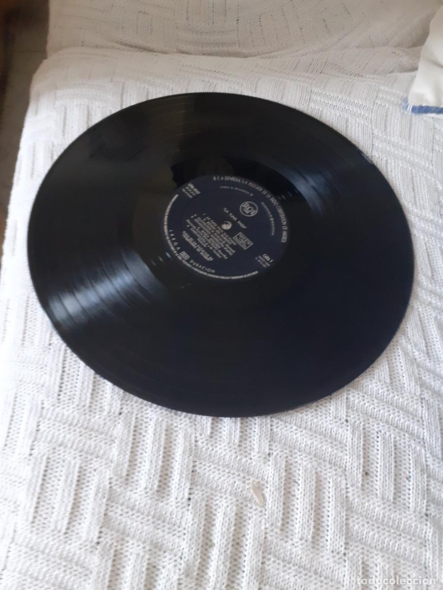 Discos de vinilo: Veterinaria Madrid - Foto 4