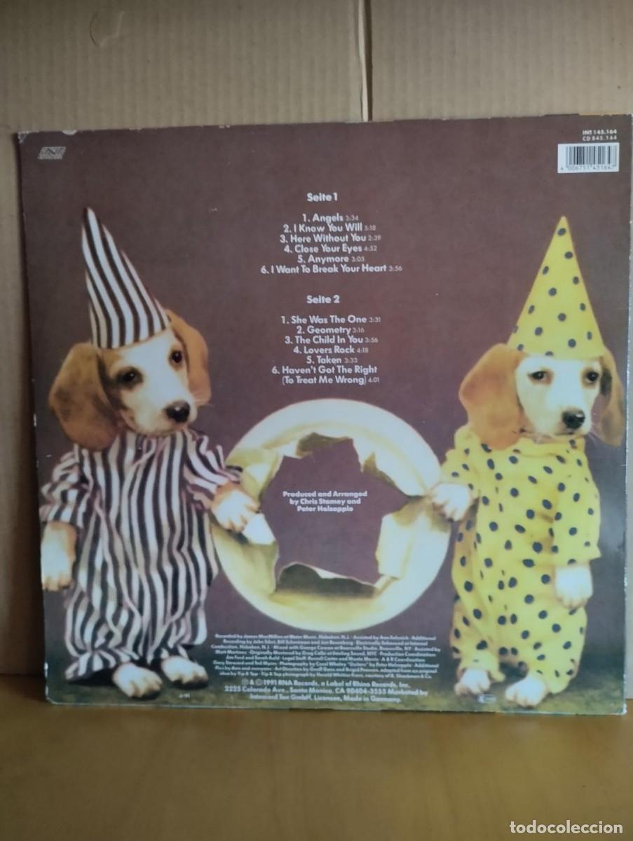 Discos de vinilo: PETER HOLSAPPLE & CHRIS STAMEY ( DB&acute;S ) --- MAVERICKS - Foto 2
