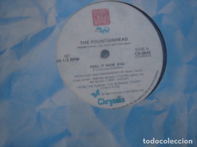 Discos de vinilo: The Fountainhead &lrm; Feel It Now - Foto 1