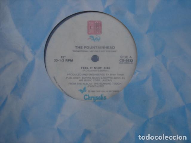 Discos de vinilo: The Fountainhead &lrm; Feel It Now - Foto 2