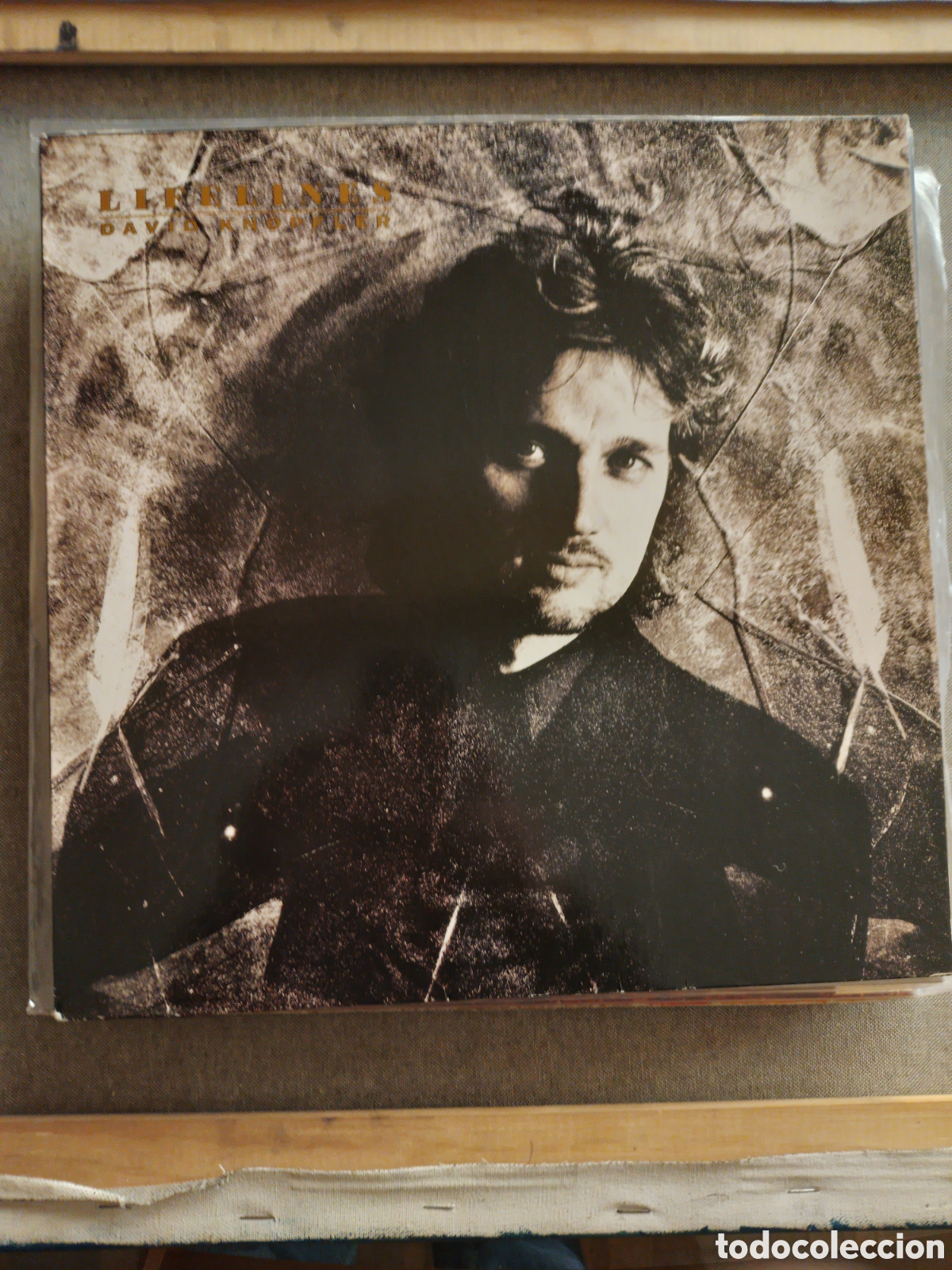 Discos de vinilo: David Knopfler. Lifelines. - Foto 1