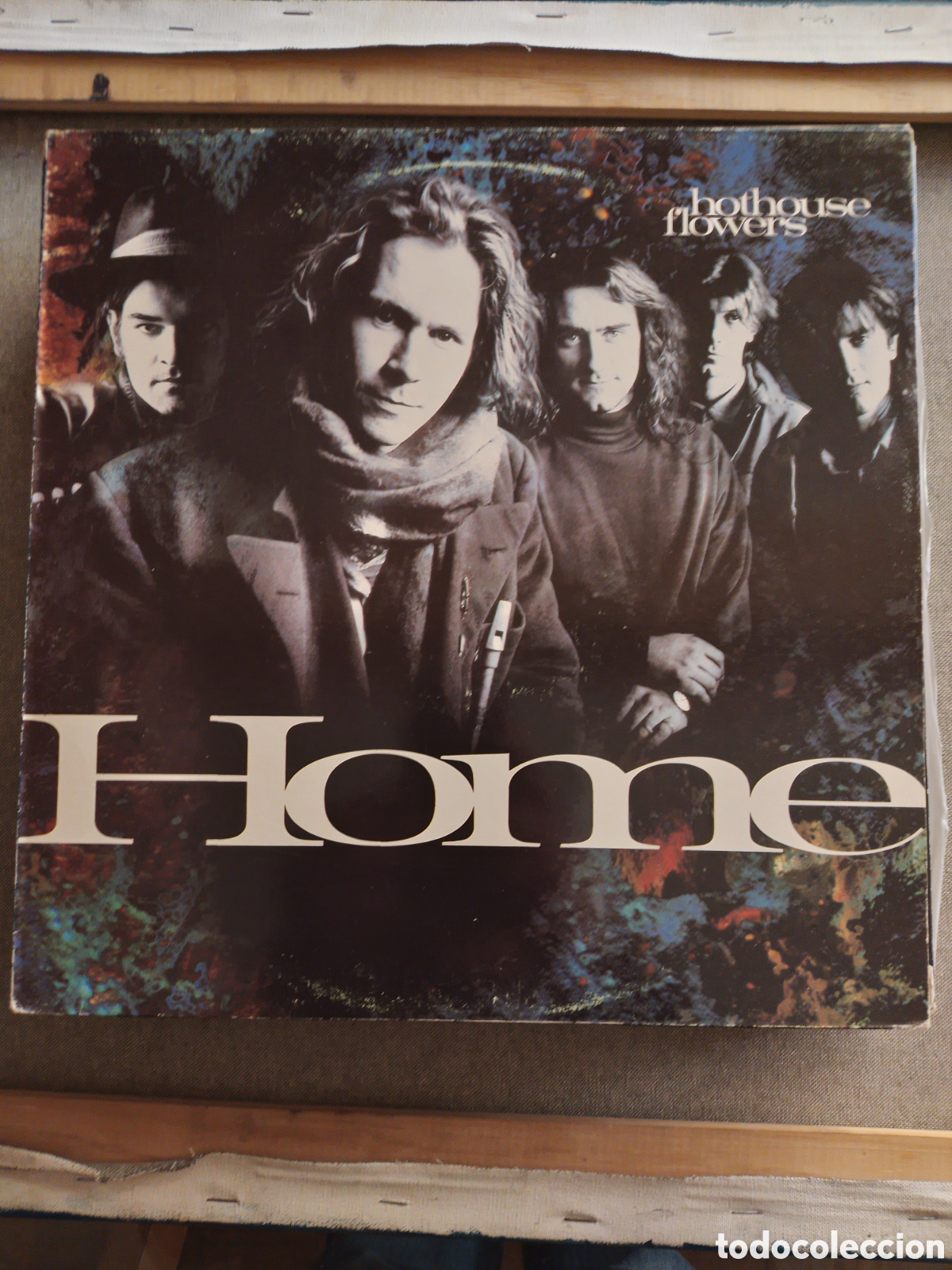 Discos de vinilo: Hothouse flowers. Home. - Foto 1