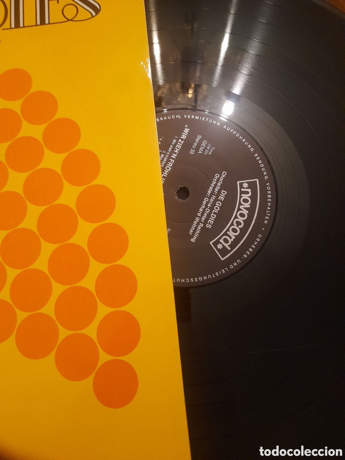 Discos de vinilo: Vinilo, Die Godies - Foto 3