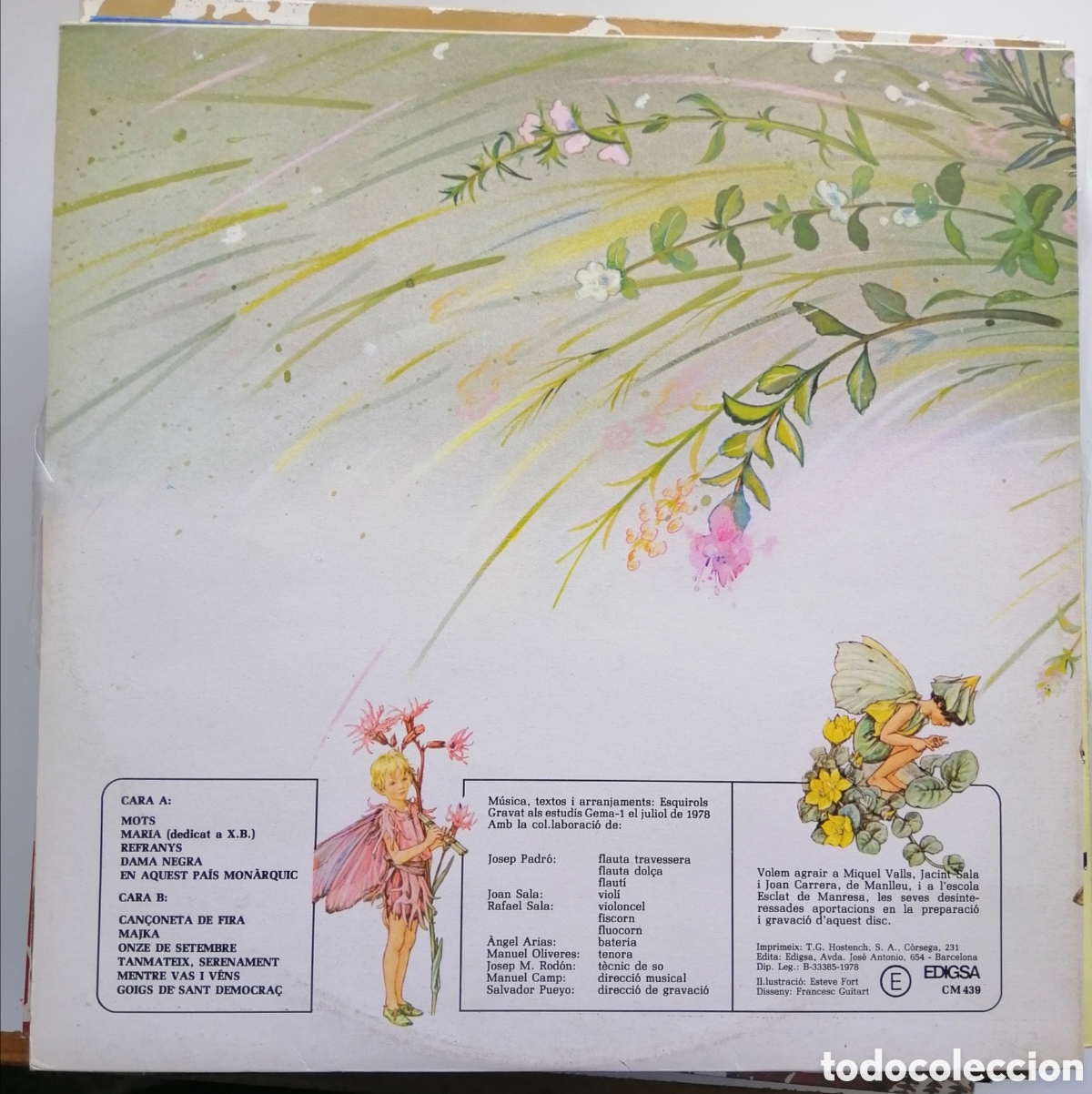 Discos de vinilo: licor dherbes bones esquirols vinilo - Foto 2