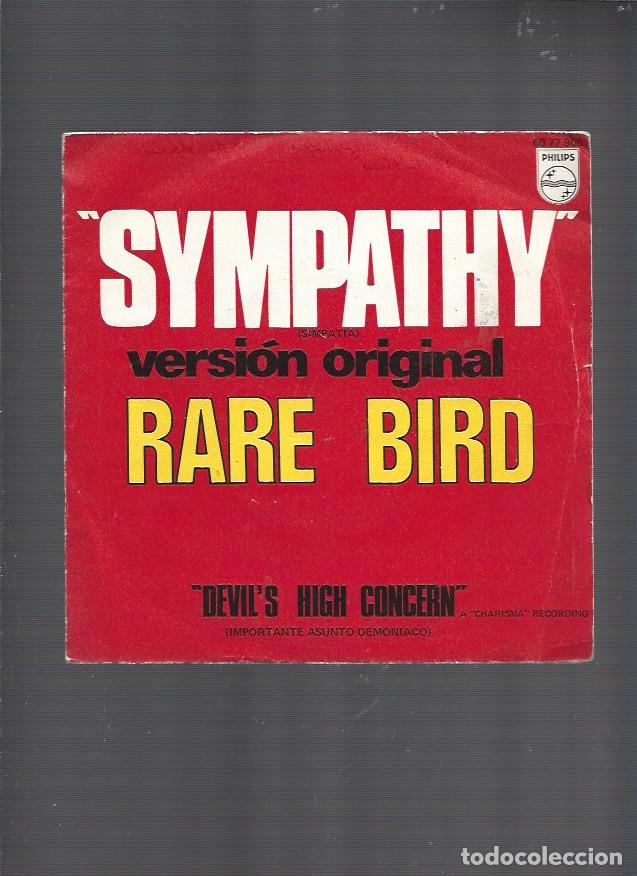 RARE BIRD - Sympathy