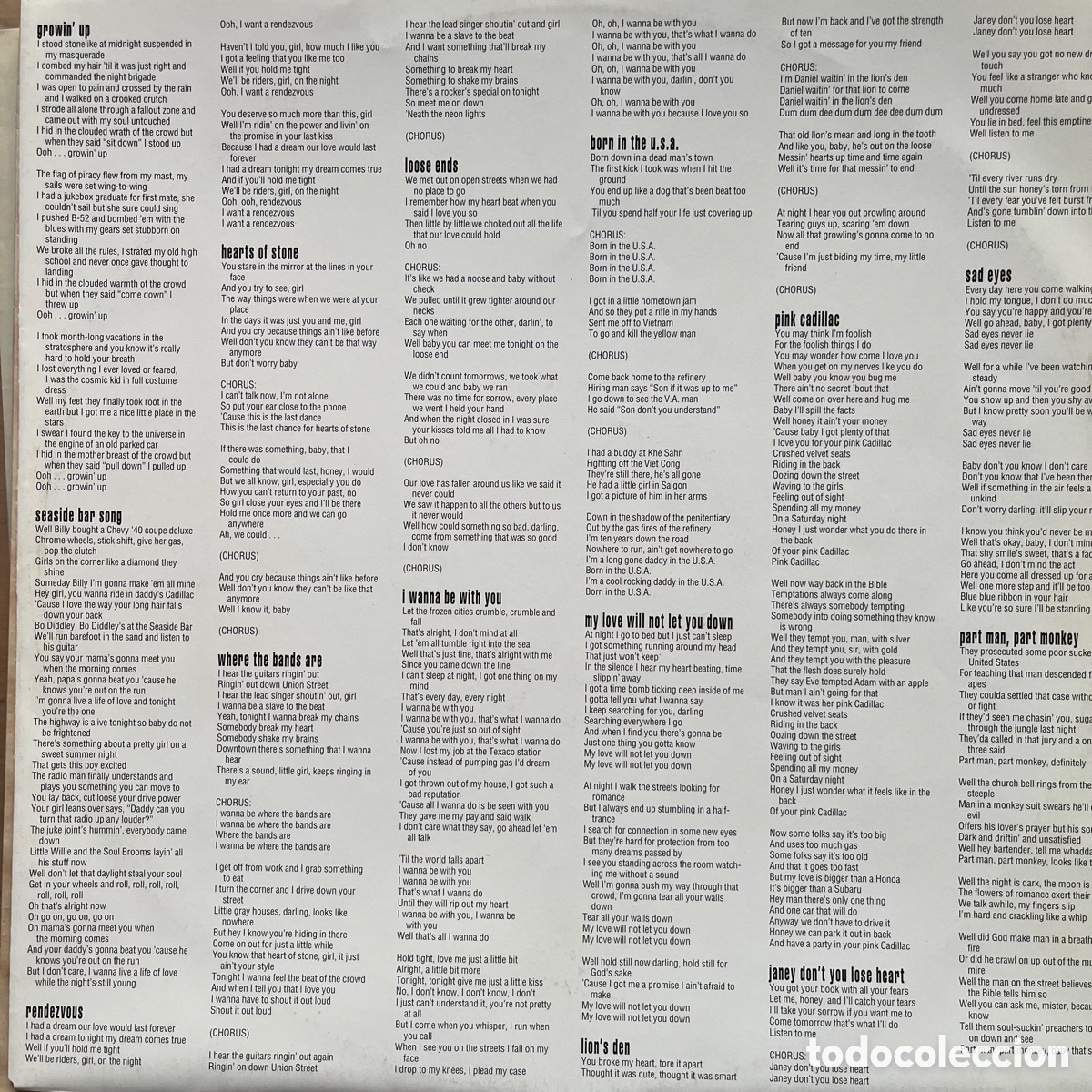Discos de vinilo: Bruce Springsteen - 18 tracks - Foto 5