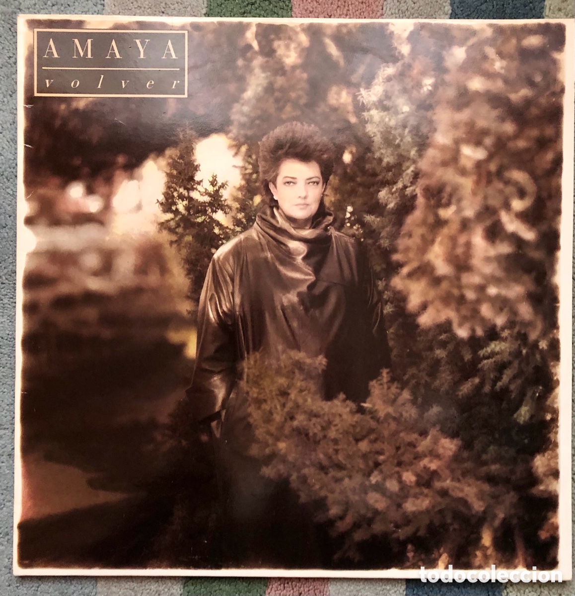 Vinyl-Schallplatten: LP Vinilo 33&rdquo; AMAYA &rdquo;volver&rdquo; 1986 RCA