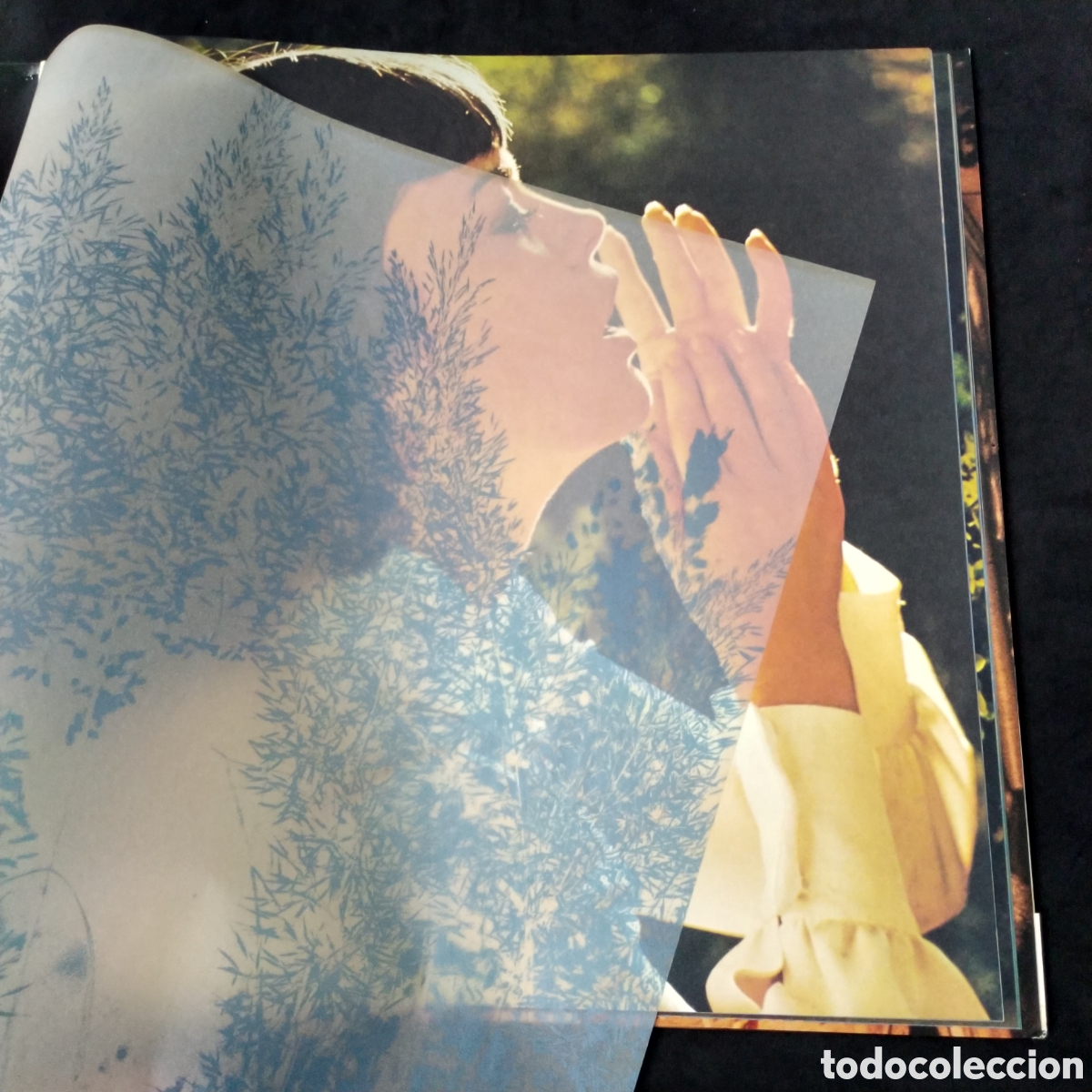 Discos de vinilo: MIREILLE MATHIEU - LP - CARPETA DOBLE ABIERTA GATEFOLD CON LIBRETO - RARO - MIREILLE MATHIEU - Foto 5
