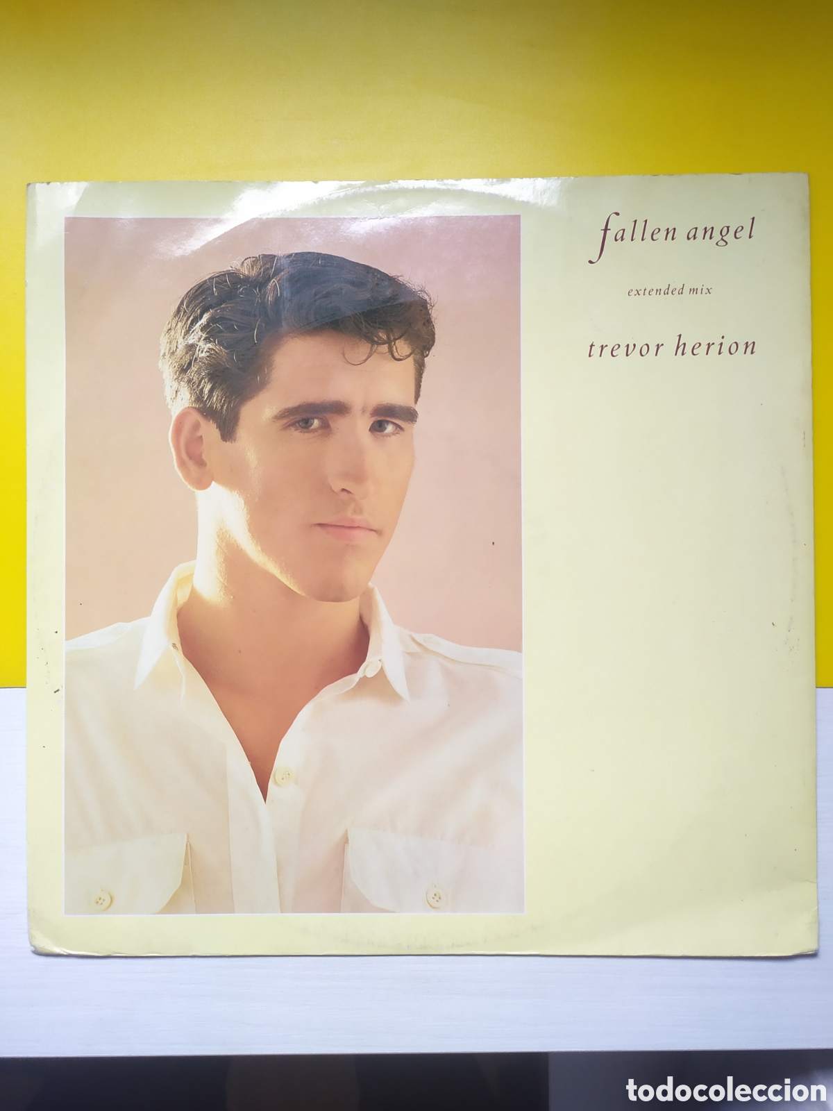 Discos de vinilo: Maxi single Trevor Herion.&nbsp;Fallen Angel - Foto 1
