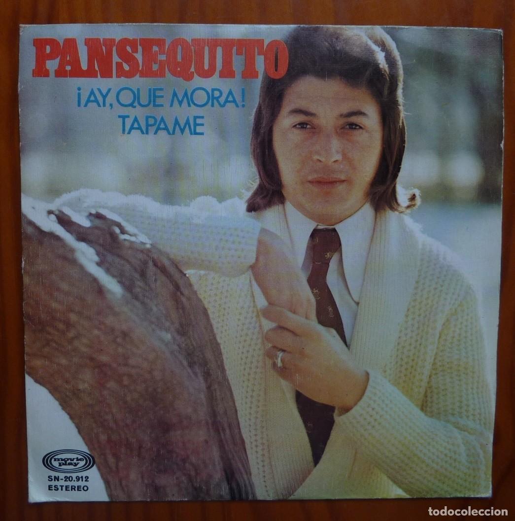Discos de vinilo: PANSEQUITO / &iexcl;AY QUE MORA! / 1974 / SINGLE - Foto 1