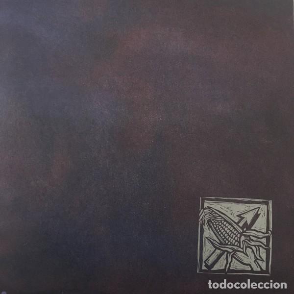 Discos de vinilo: Bad Religion &ndash; Against The Grain - Foto 2