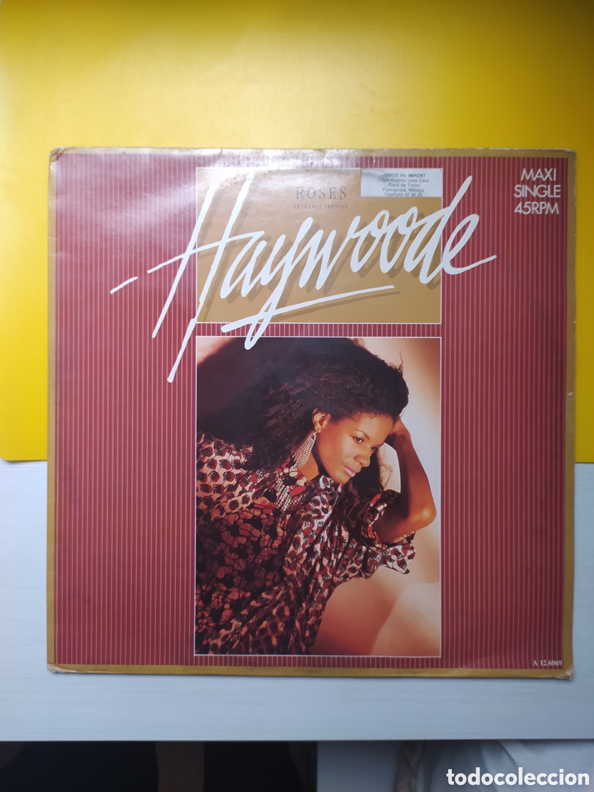 Discos de vinilo: Maxi single Haywoode. Roses (Extended Version) - Foto 1