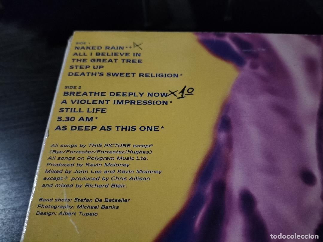 Discos de vinilo: THIS PICTURE - A VIOLENT IMPRESSION LP DEDICATED 1991 - INDIE ROCK - Foto 2