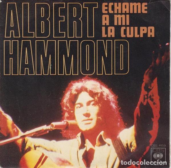 Discos de vinilo: Albert Hammond &lrm;&ndash; Echame A Mi La Culpa - Foto 1