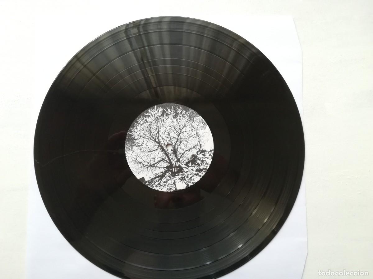 Discos de vinilo: The Bevis Frond. New River Head. Doble LP gatefold - Foto 6