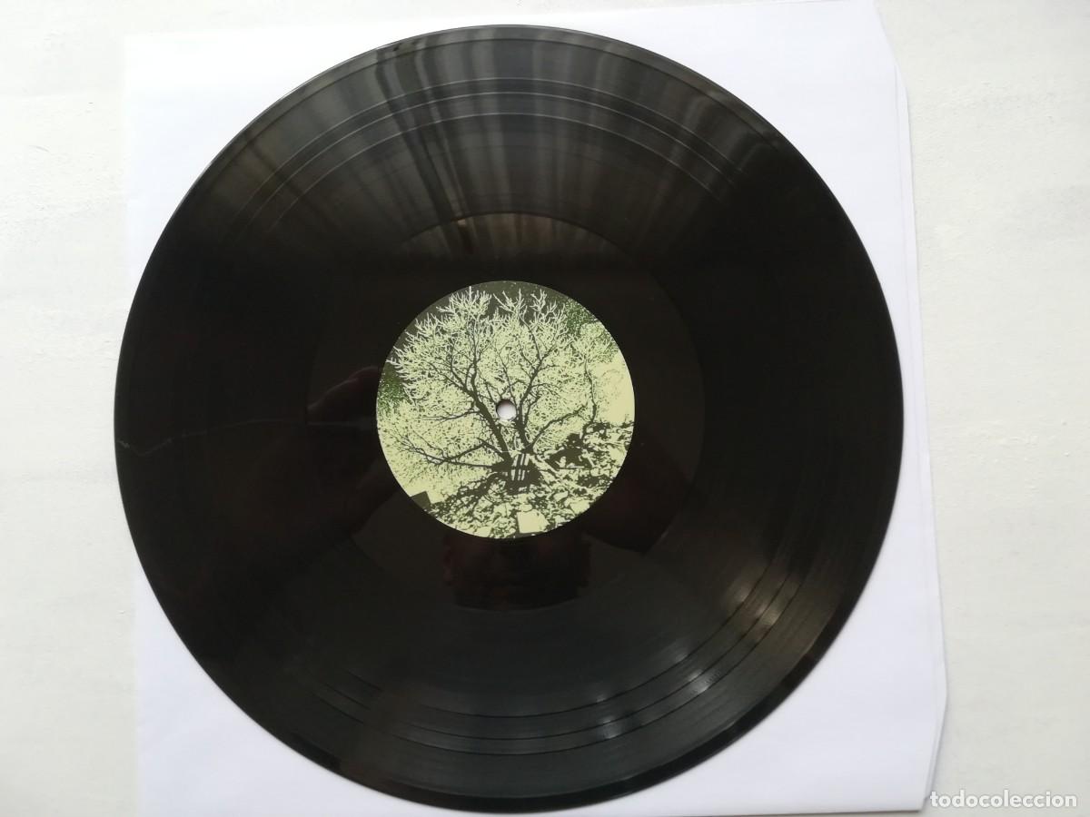Discos de vinilo: The Bevis Frond. New River Head. Doble LP gatefold - Foto 8