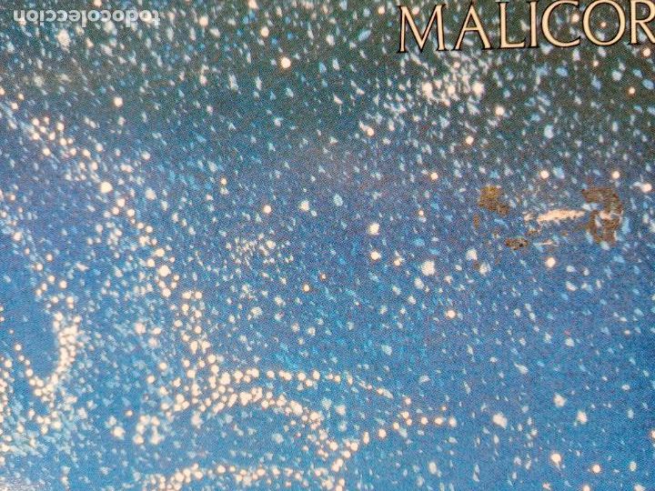 Discos de vinilo: Malicorne - Foto 2