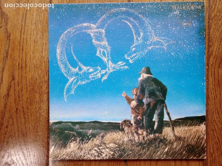 Discos de vinilo: Malicorne - Foto 1