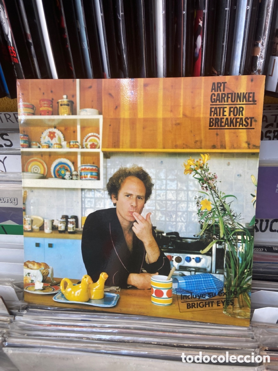 Discos de vinilo: Art garfunkel fate for breakfast - Foto 1