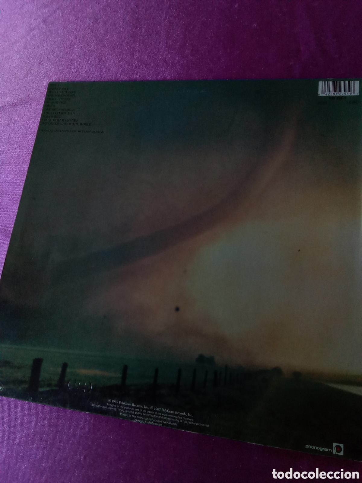 Discos de vinilo: RAINMAKERS TORNADO LP P/1/4/4 - Foto 2