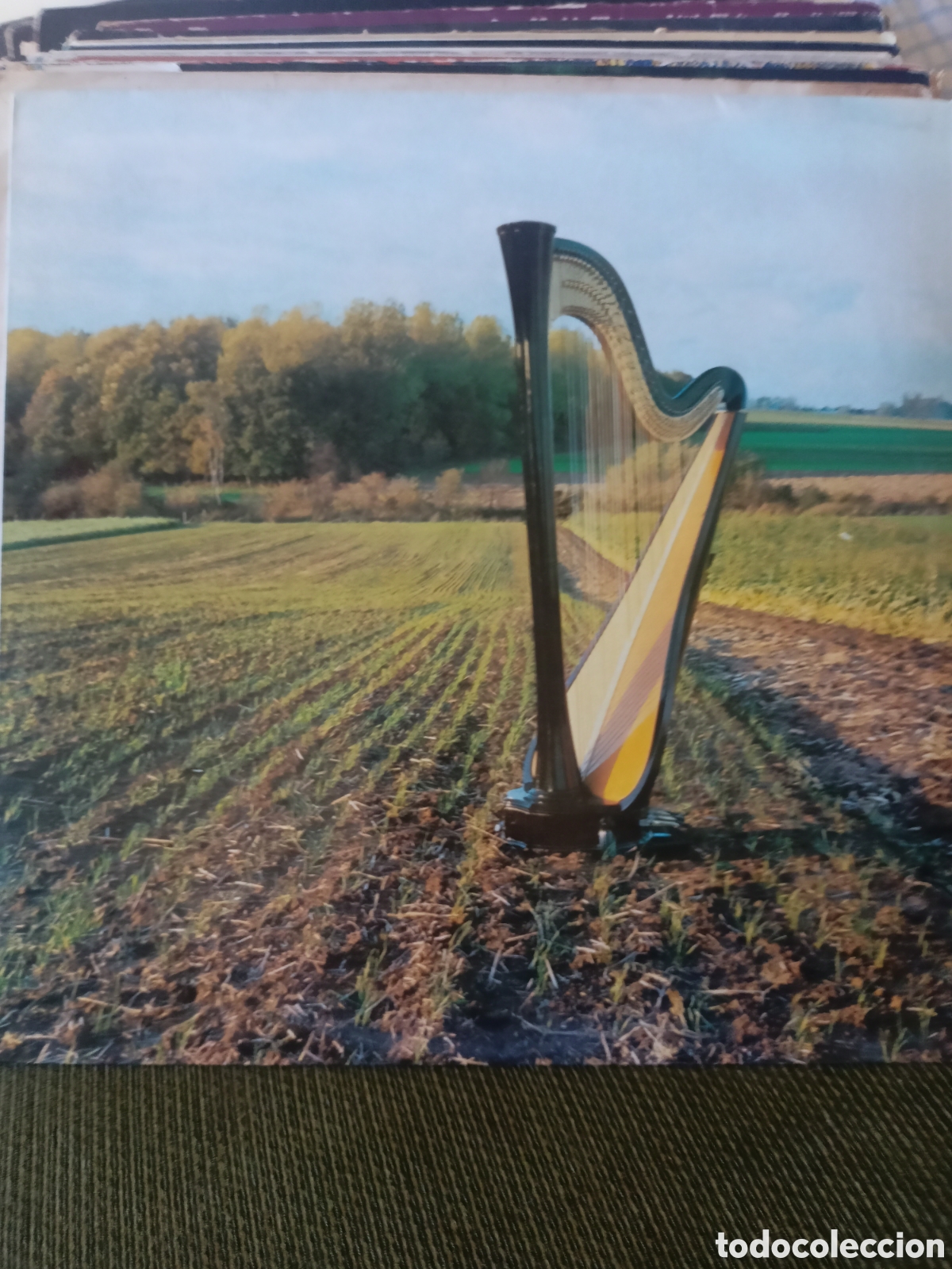 Discos de vinilo: Win mertens Educes me - Foto 1