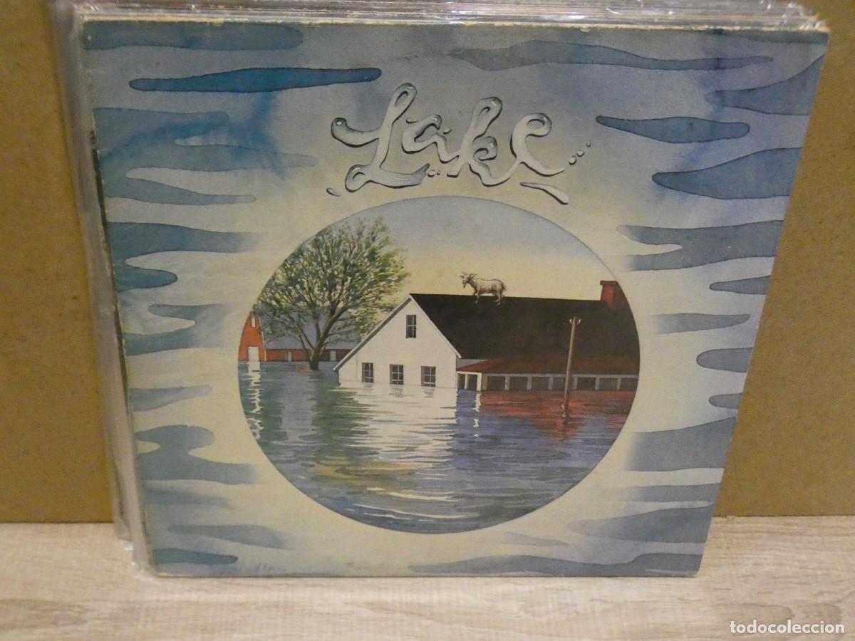 Discos de vinilo: ARKANSAS1980 LOT211 LP IMPORTACION VINILO DECENTE SE&Ntilde;ALES DE USO MENOR LAKE HOMONIMO