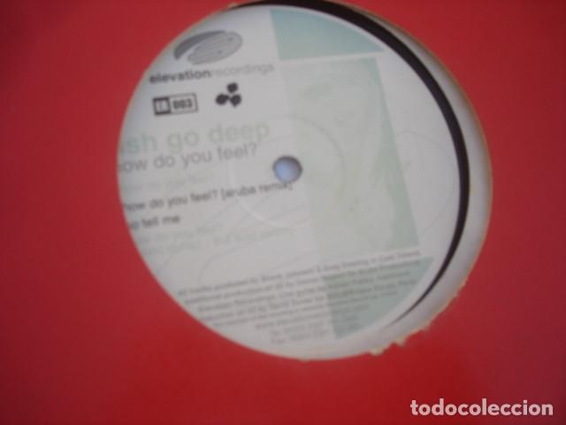Discos de vinilo: Fish Go Deep How Do You Feel? - Foto 1