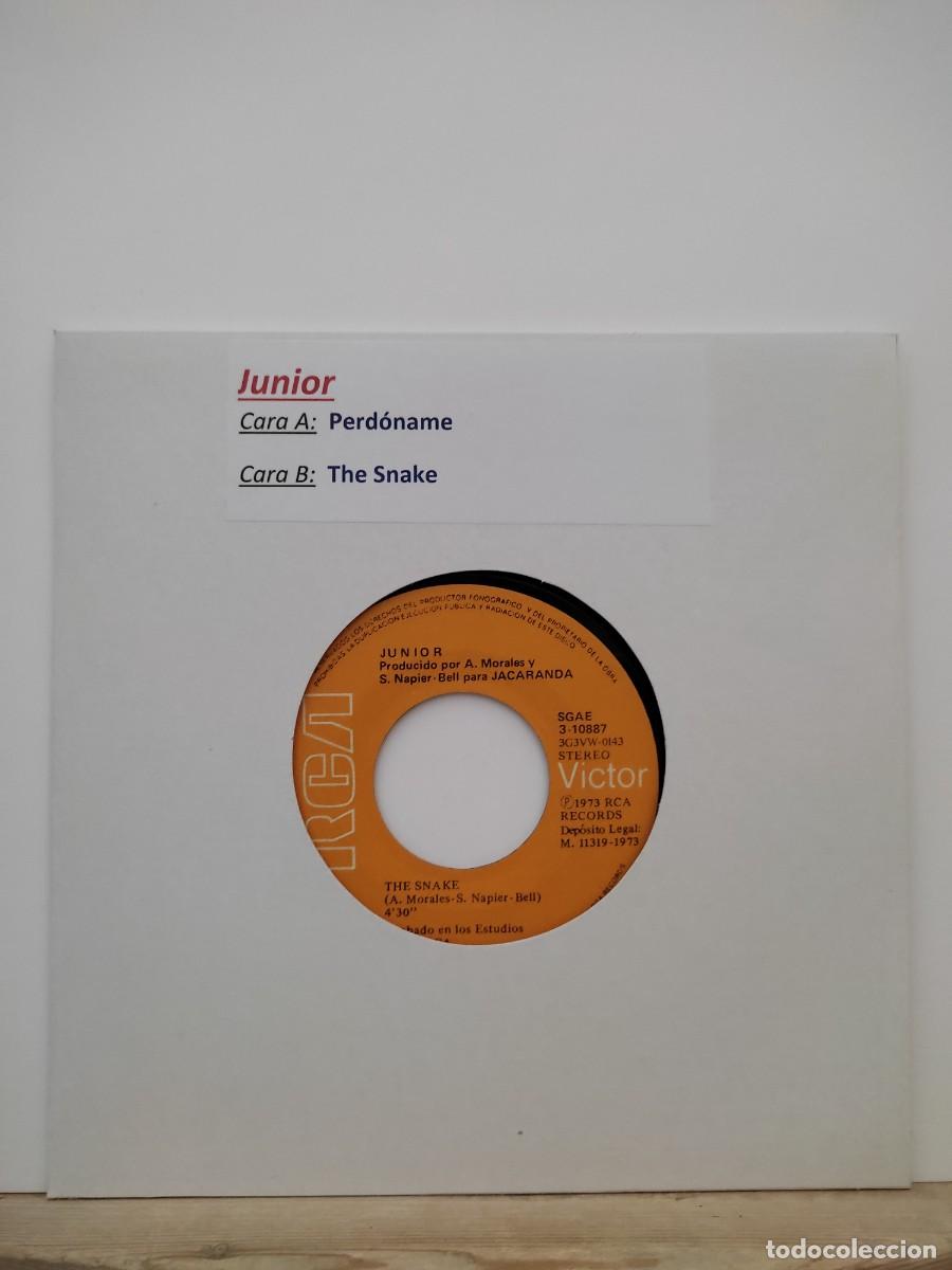 Discos de vinilo: JUNIOR-PERDONAME/THE SNAKE/RCA VICTOR 3 - Foto 1