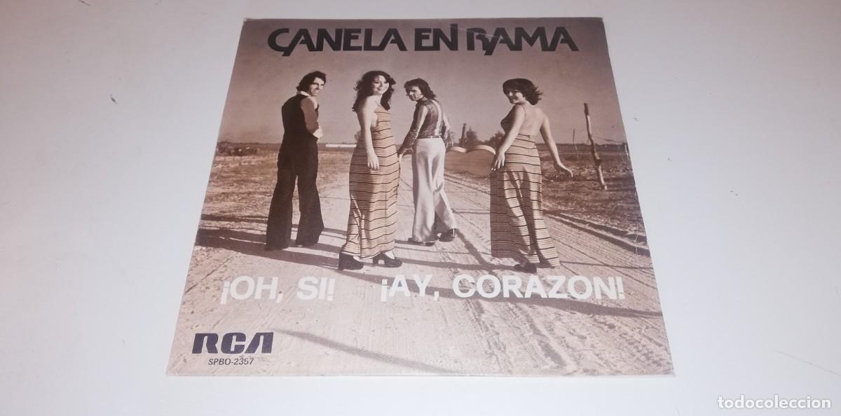 Disques de vinyle: S13-CANELA EN RAMA AH SI - PORT VG DISC VG+