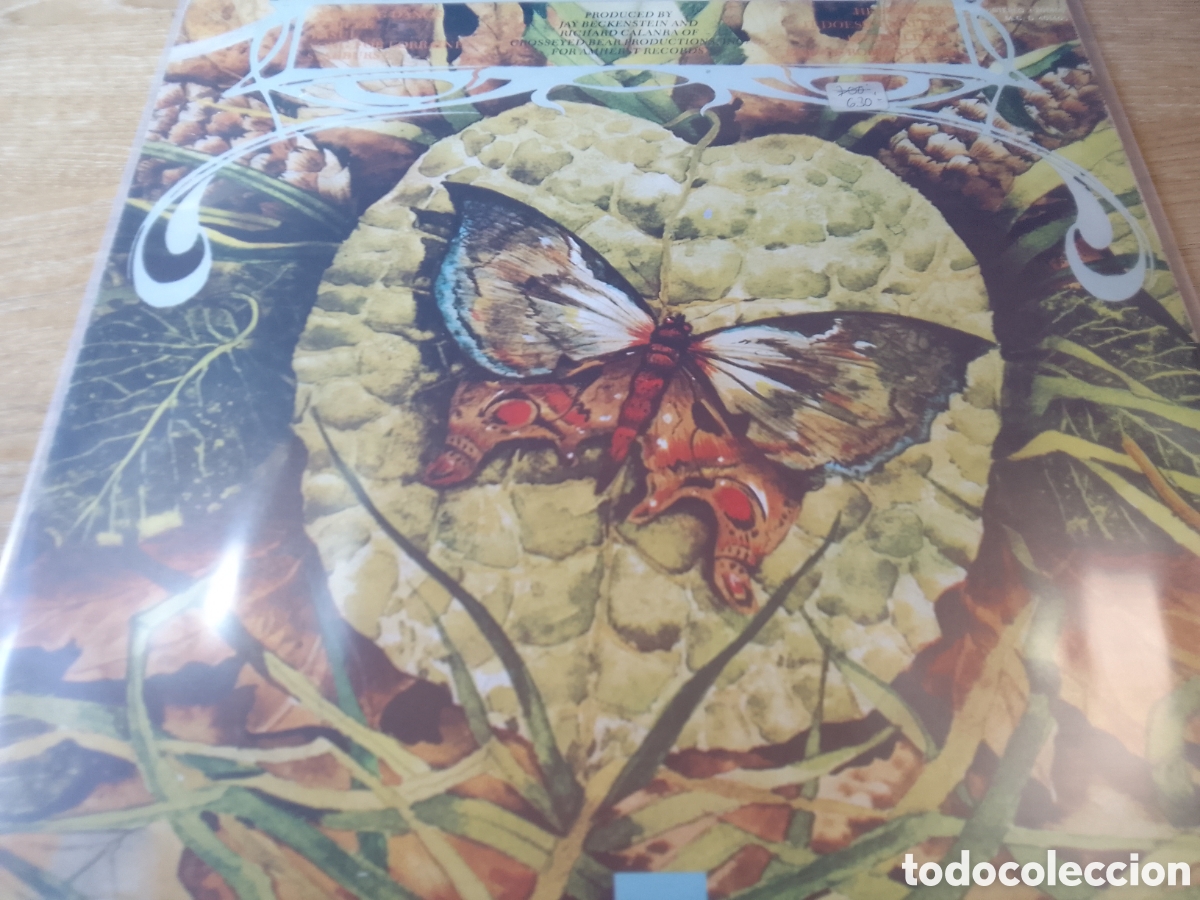 Discos de vinilo: SPYRO GYRA MORNING DANCE - Foto 2