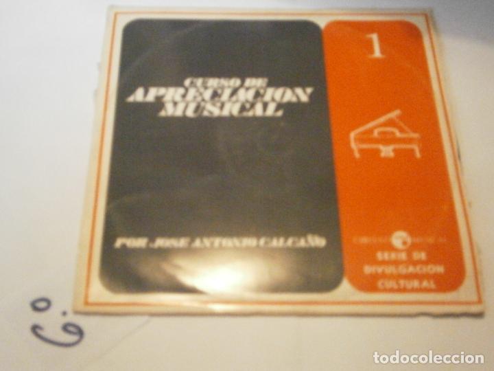 Vinyl-Schallplatten: ANTIGUO DISCO LP VINILO - CURSO DE APRECIACION MUSICAL 1