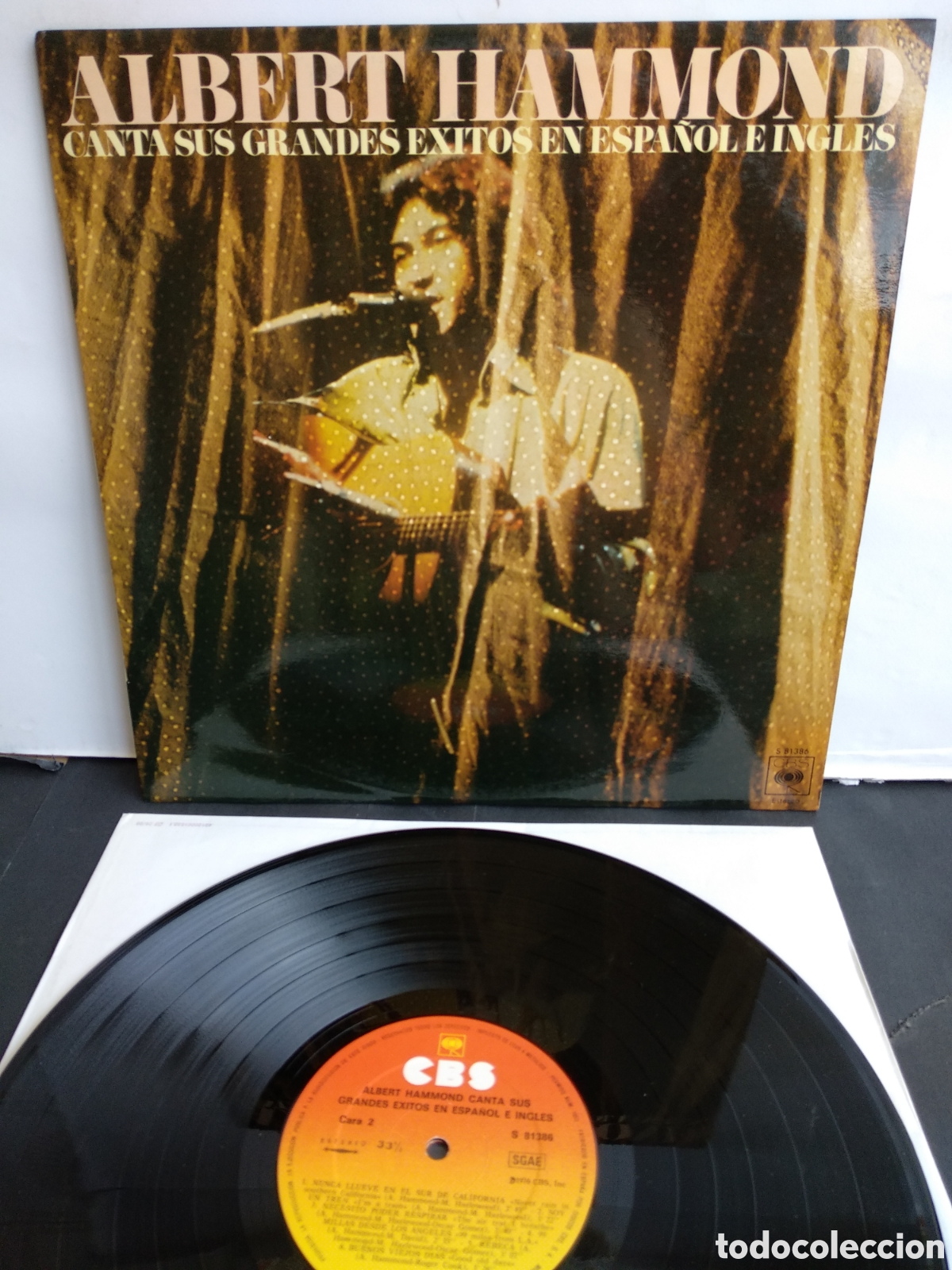 Discos de vinilo: ALBERT HAMMOND, SUS &Eacute;XITOS, SPAIN, CBS, 1976, J.2 - Foto 1