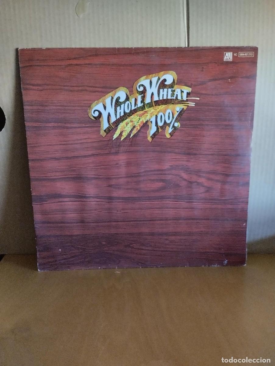 Discos de vinilo: 100% WHOLE WHEAT ---- ICE, FIRE, & DESIRE - Foto 1