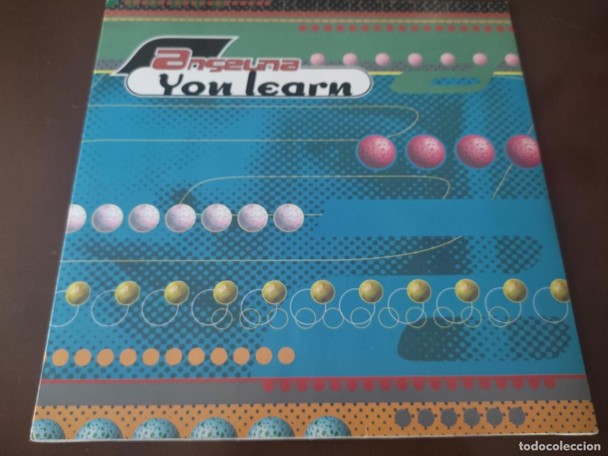 Discos de vinilo: Angelina* &lrm;&ndash; You Learn - Foto 1