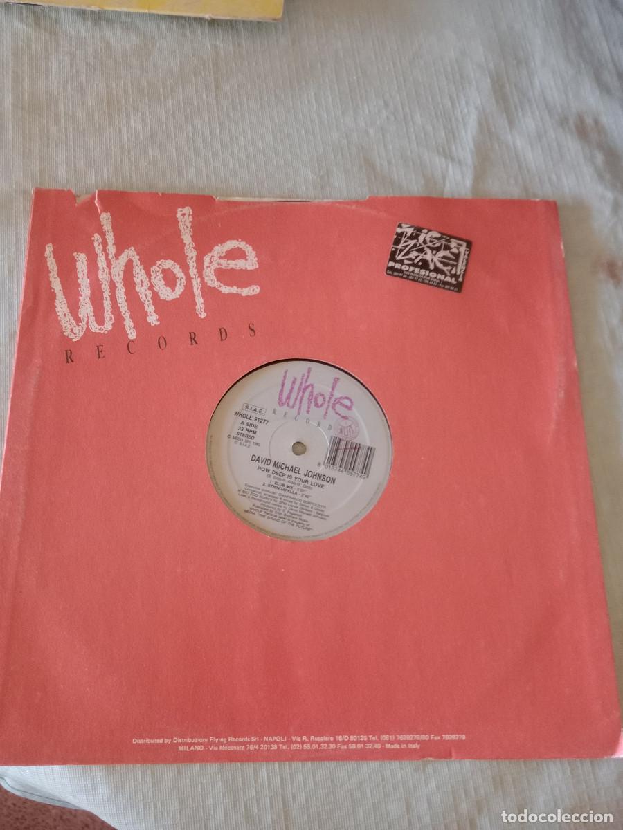 Discos de vinilo: DAVID MICHAEL JOHNSON HOW DEEP IS YOUR LOVE MAXI 12 - Foto 1