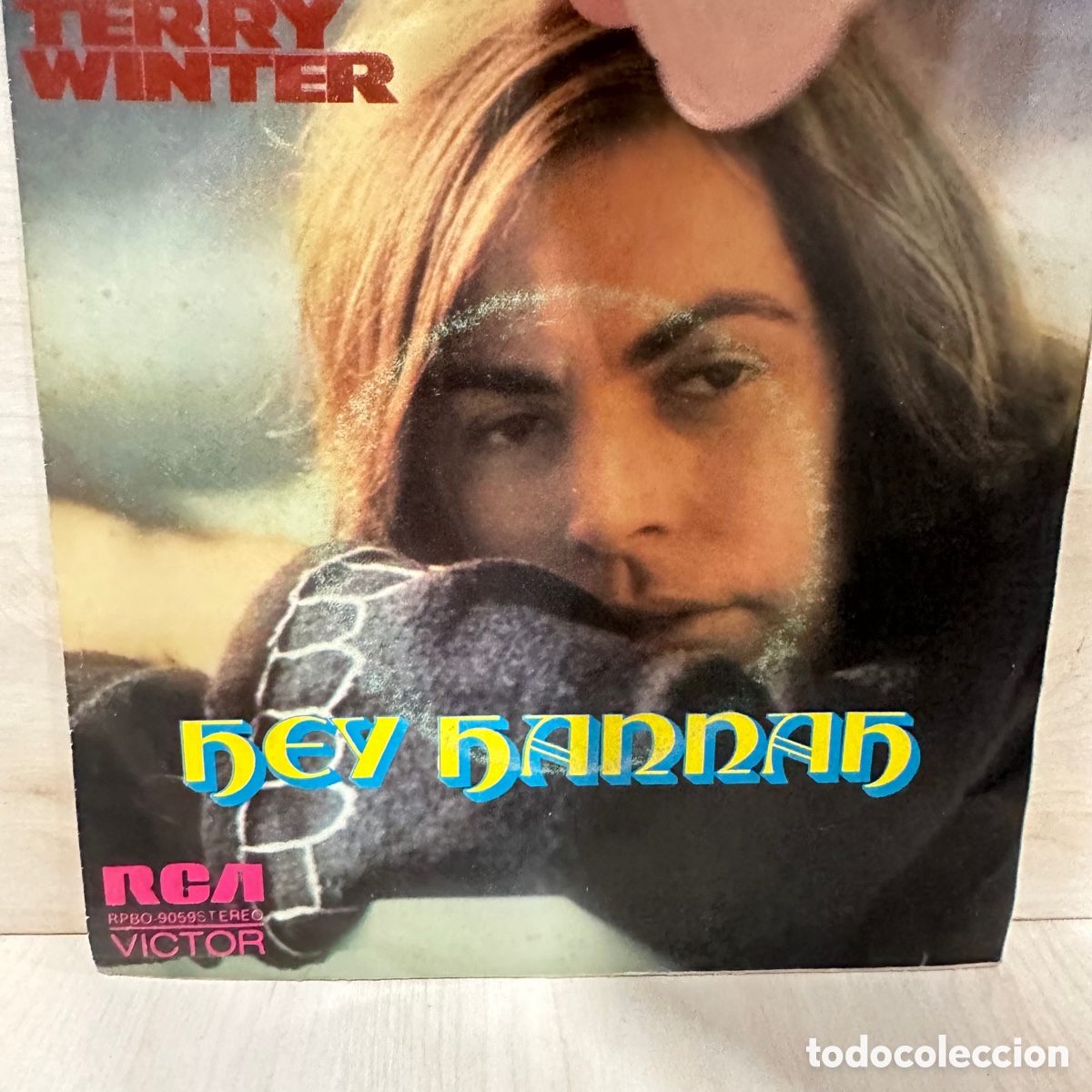 Discos de vinilo: Terry Winter - Hey Hannah (7&rdquo;, Single, Promo) - Foto 1