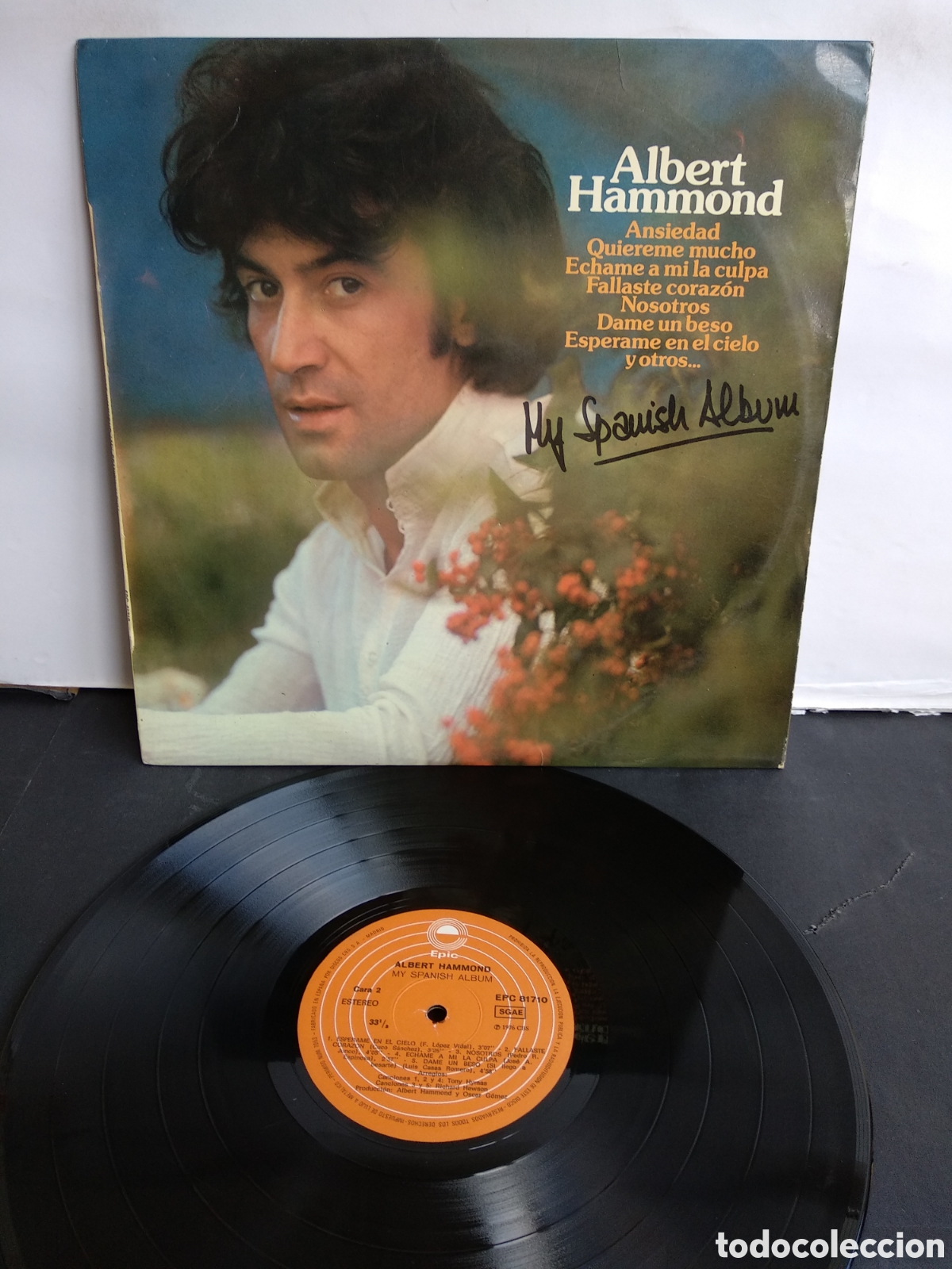 Discos de vinilo: ALBERT HAMMOND, SPAIN, EPIC, 1976, LX.3 - Foto 1