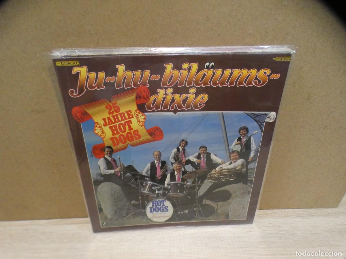 Disques de vinyle: ARKANSAS1980 lott214 lp importacion vinilo buen estado general grupo dixie hot dogd