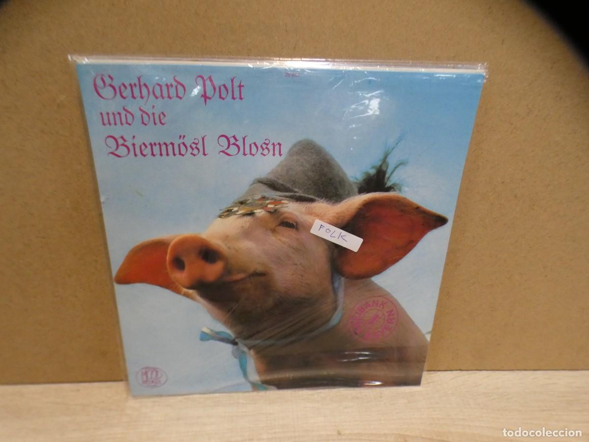 Dischi in vinile: ARKANSAS1980 lott214 lp buen estado de disco FOLK GERHARD POLT EN MOOD RECORDS