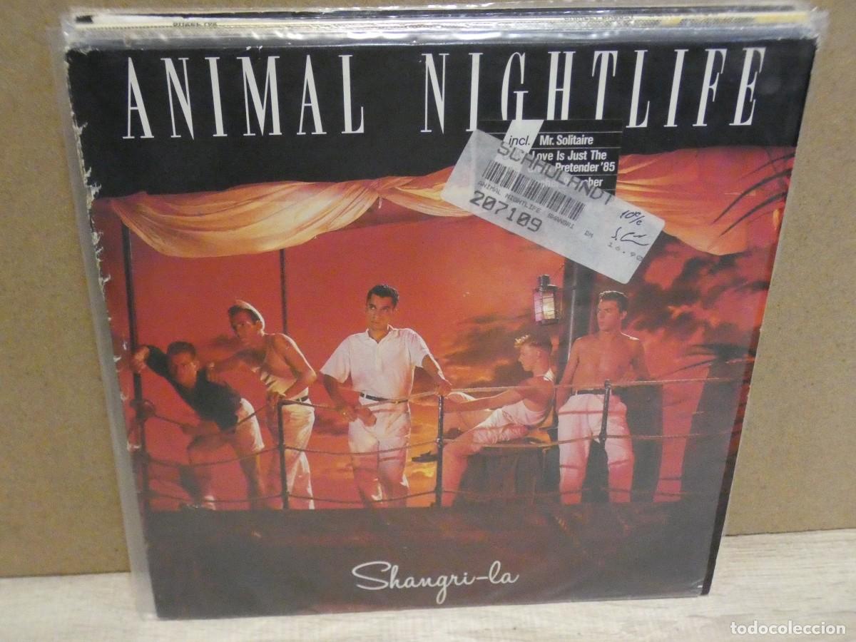 Disques de vinyle: ARKANSAS1980 pacc217 lp buen estado de disco animal nightlife shangri-la