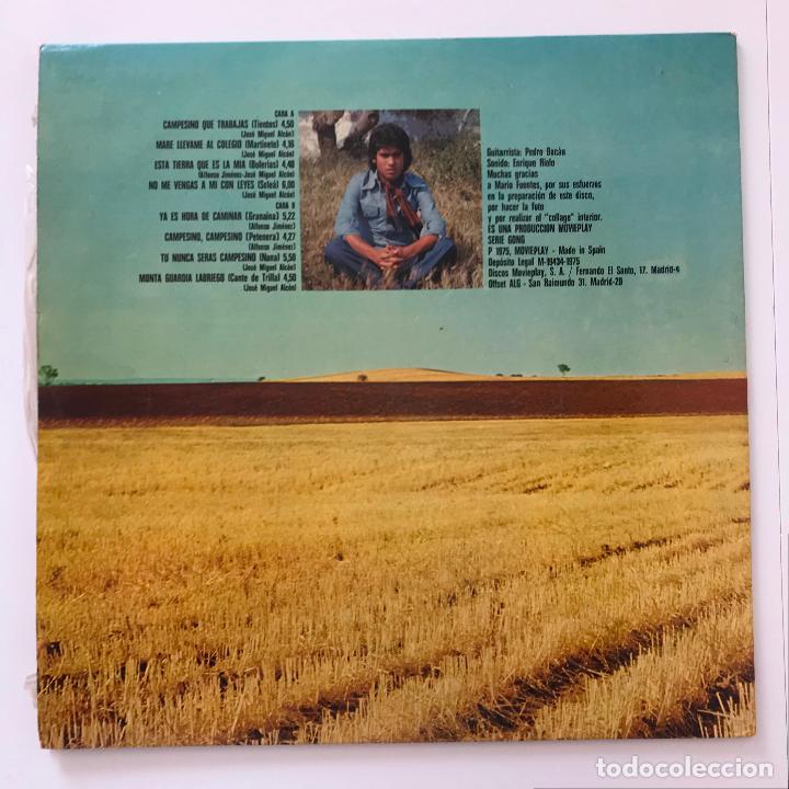 Discos de vinilo: Manuel de Paula. Campo joven. - Foto 2