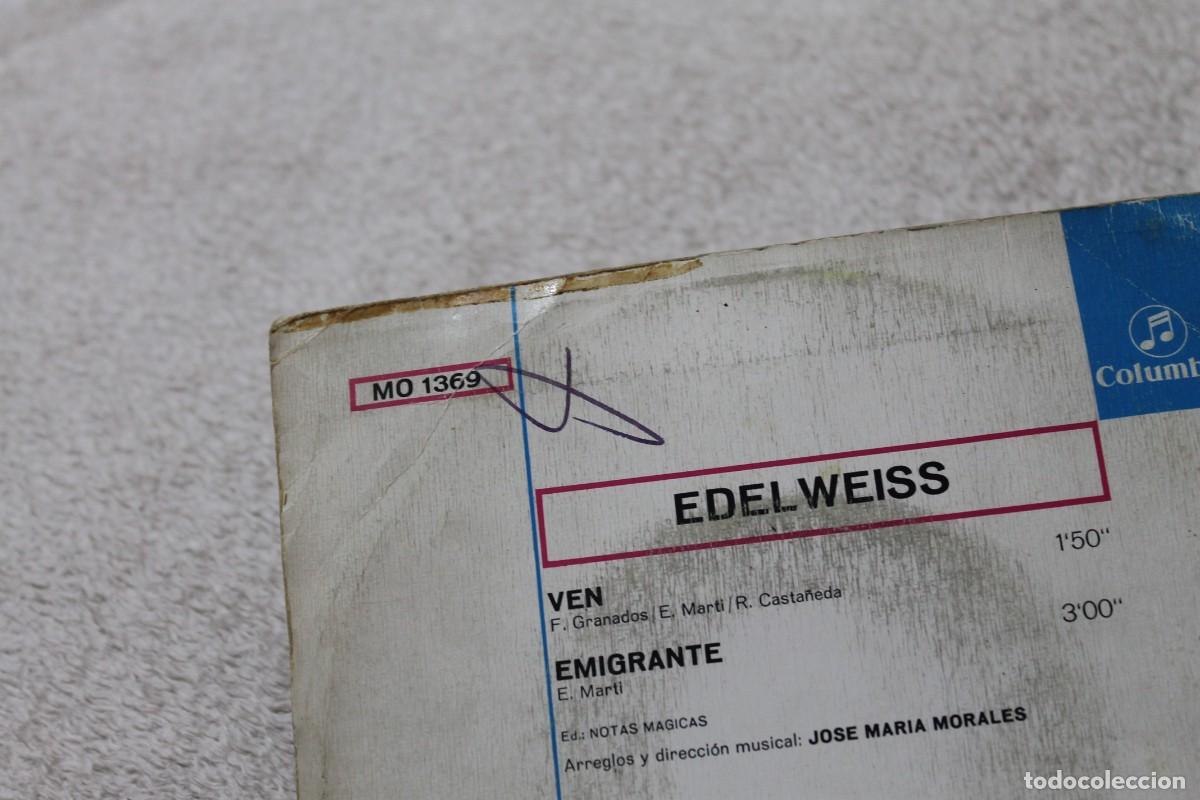 Discos de vinilo: EDELWEIS VEN SINGLE MADE IN SPAIN 1973 - Foto 3