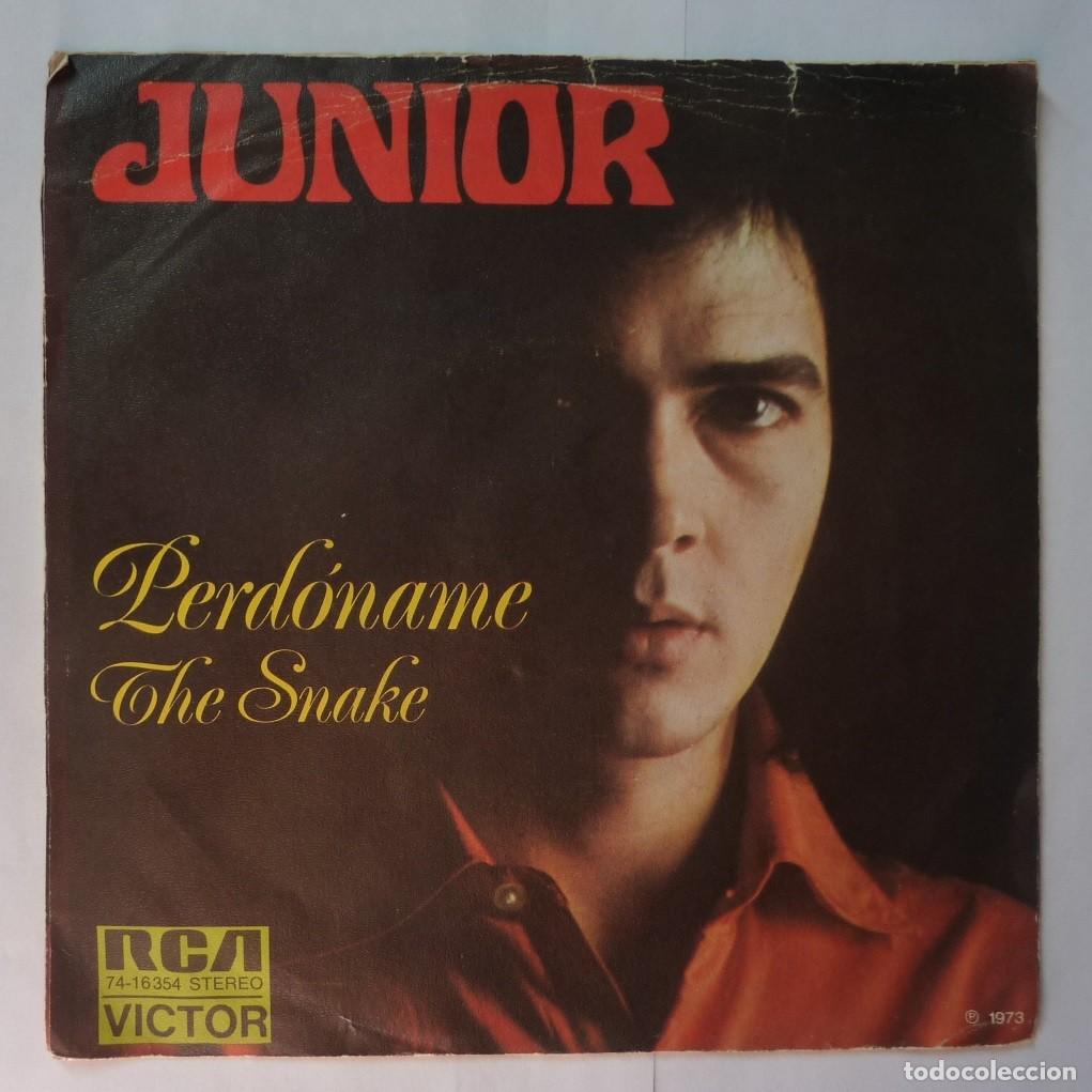 Discos de vinilo: JUNIOR / PERDONAME / MADE IN GERMANY / 1973 / SINGLE - Foto 1