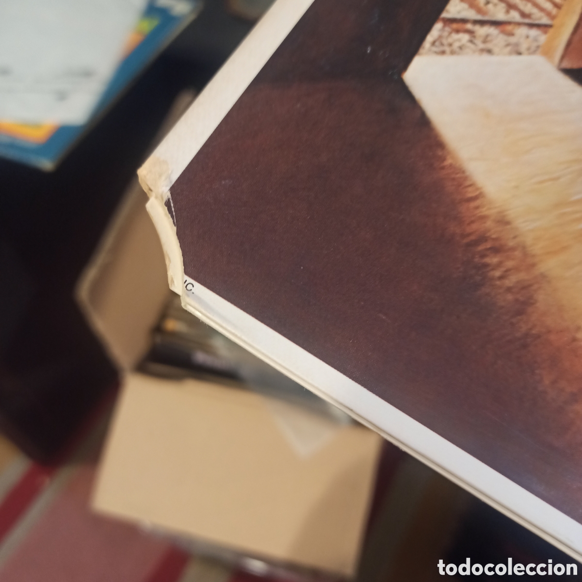Discos de vinilo: Don McLean &ndash; Homeless Brother - Foto 2