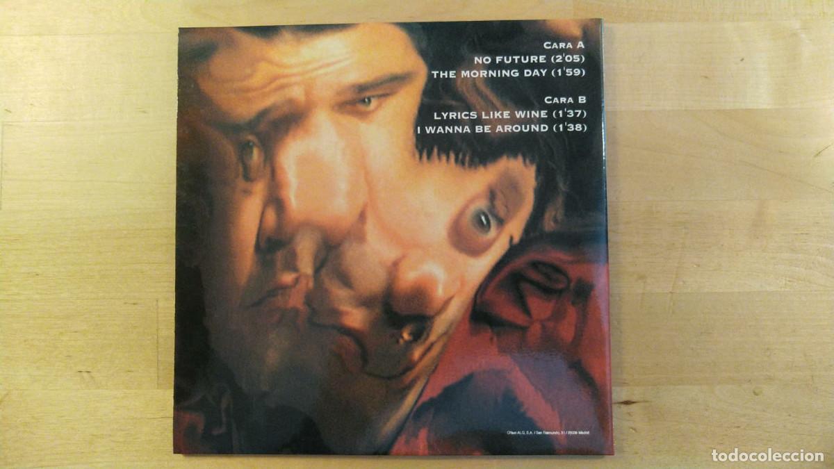 Discos de vinilo: Aneurol 50 - No Future - Foto 4