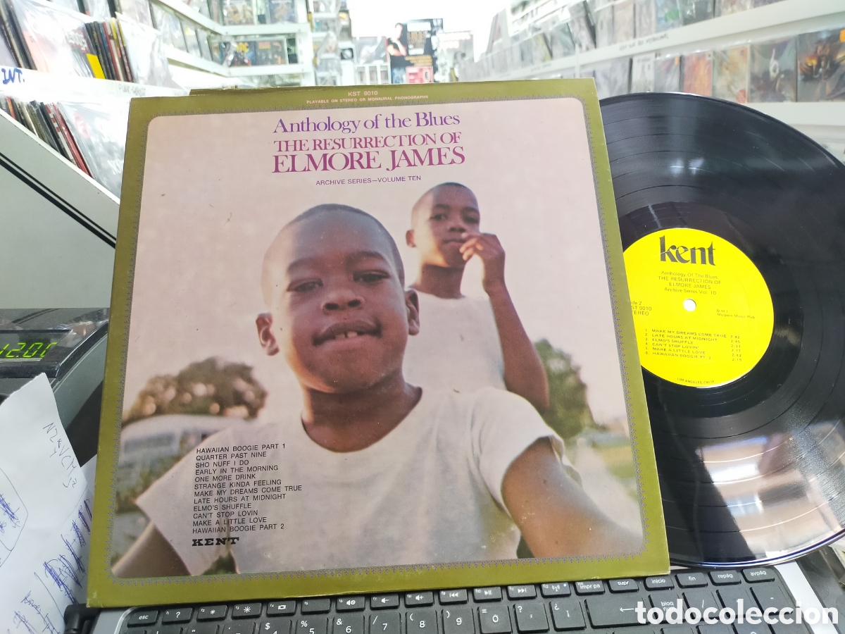 Discos de vinil: The resurrection of elmore james LP u.s.a.
