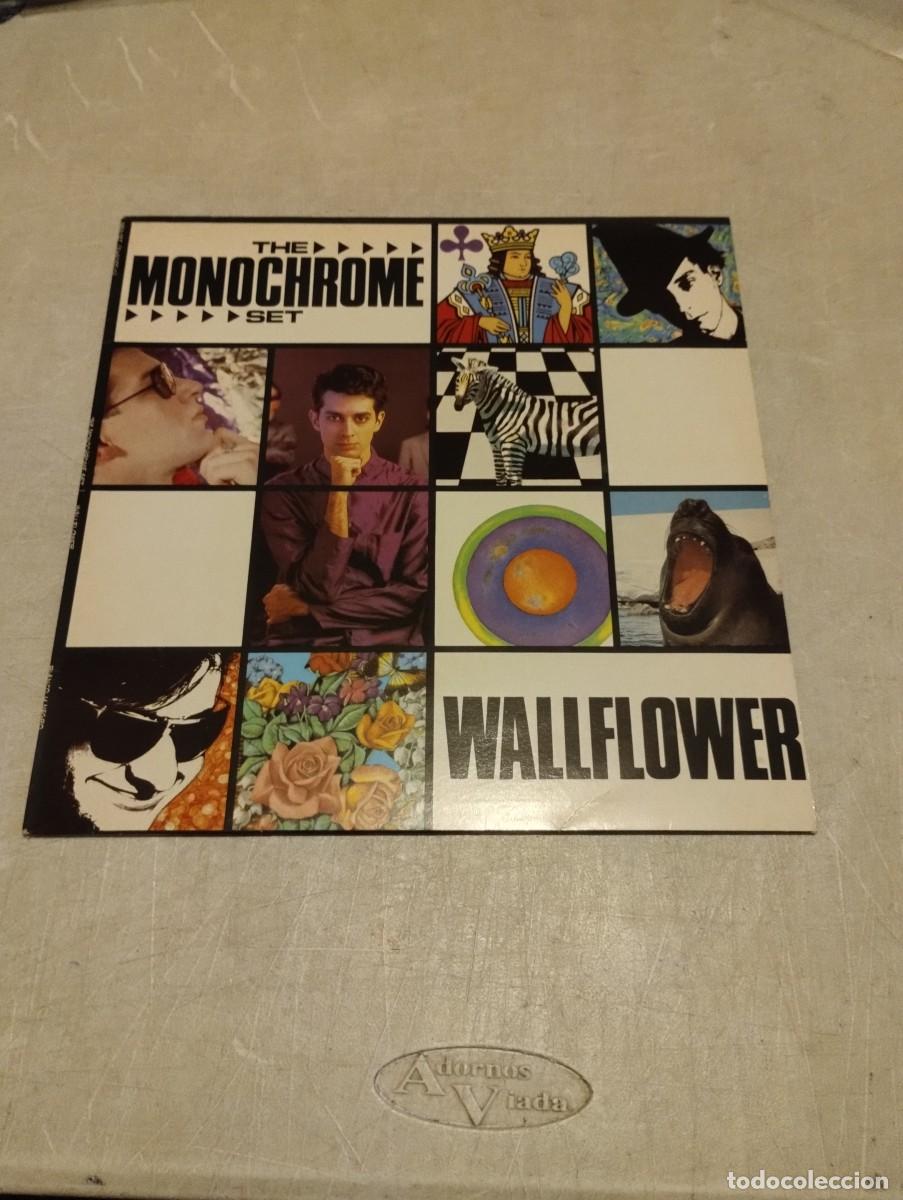 Discos de vinilo: The Monochrome Set Maxi Wall Flower Esp.1985 - Foto 1