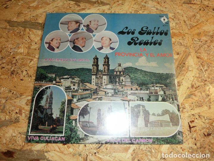 Dischi in vinile: Los Gallos Reales - La Provincia y El Amor (NUEVO)